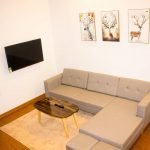 c5713cf52b08d3568a19 2 bedrooms apartment for rent close to Korean Town Da Nang
