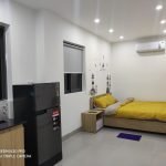 62ef197c7a60813ed871 Bright studio For Rent near Dragon Bridge Da Nang