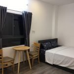 c0217f87e6db1d8544ca Nice studio for rent close to beach side Da Nang