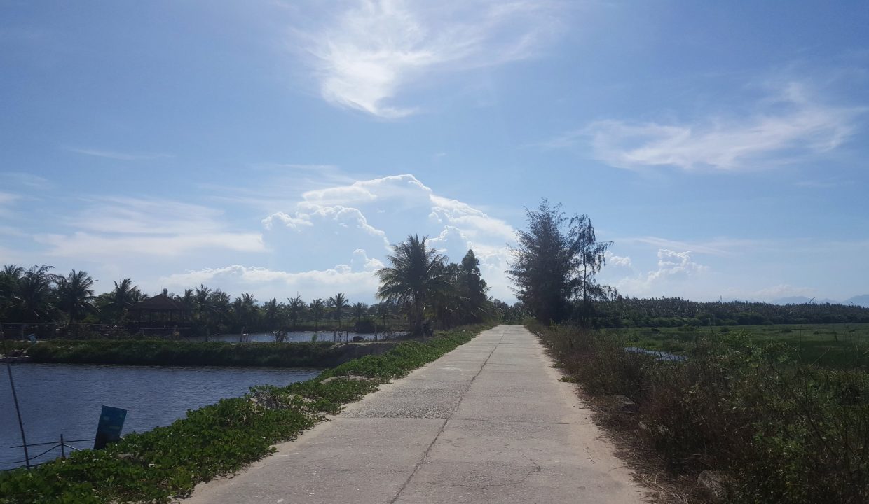261a4ca2947e6920306f