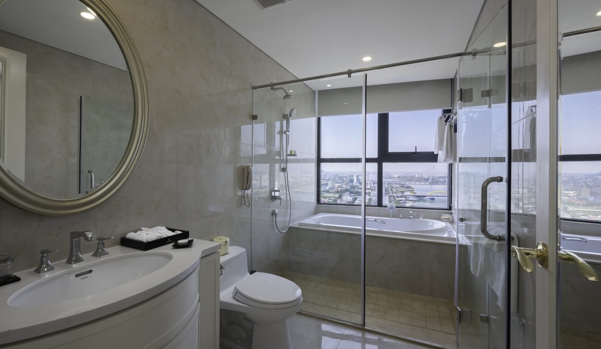 Room1_view8