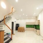 11ba1fa485d0798e20c1 New 3-bedroom house for rent near the beach in Son Tra Da Nang