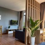 6f822abe65c4999ac0d5 1 Bedroom studio for rent near Han river in Son Tra Da Nang