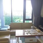 aef8fba99502685c3113 RENTED - 2 bedroom apartment for rent in My An Da Nang