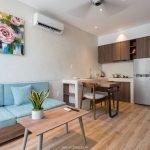 c4b4adbe5eaaa2f4fbbb Luxury 1-bedroom apartment for rent in Hai Chau Da Nang