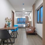 f3e4b7620494fbcaa285 1 bedroom Apartment For Rent in Da Nang city side