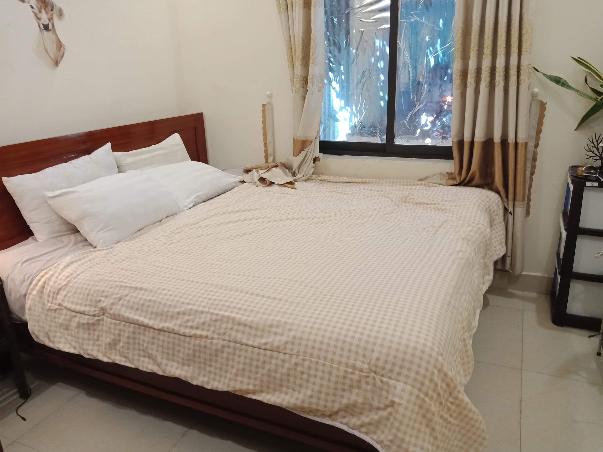 Chic Two Bedrooms House For Rent Near An Bang Beach Hoi An