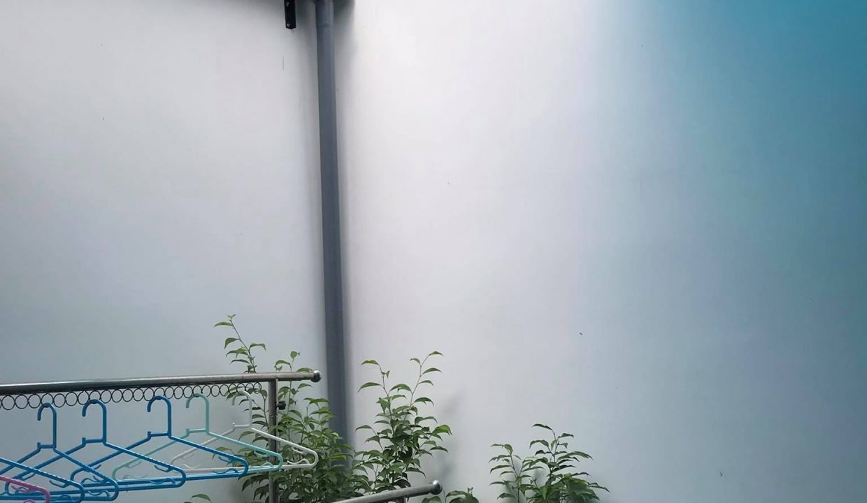 122530677_354018459037133_3146657643422366536_n