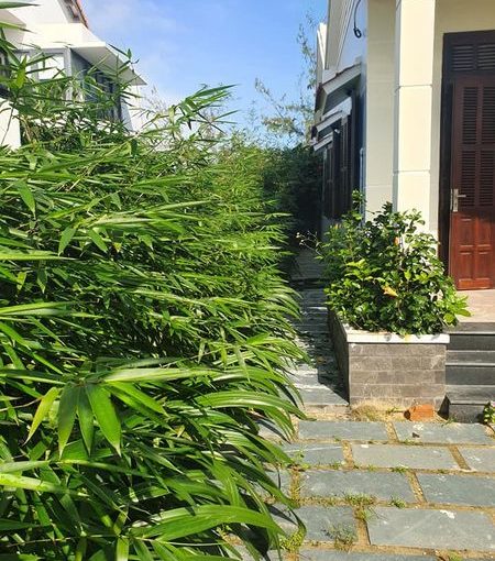 147089098 3487337884710125 2216517606503779056 n Simple Garden Three Bedrooms House for rent In Cam Thanh Hoi An