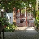 186482673 10158138705600936 7289810200286402489 n Vintage Two Bedrooms House For Rent Walking Distance To An Bang Beach Hoi An