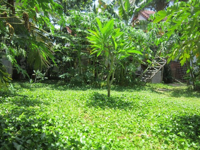 23592466 1960282610905550 2858793573951376479 o Garden Homely Two Bedrooms House For Rent An Bang Beach Hoi An