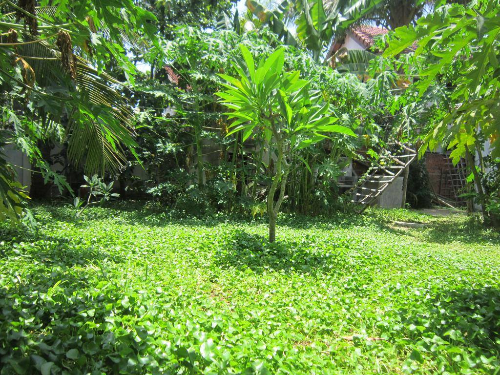 Garden Homely Two Bedrooms House For Rent An Bang Beach Hoi An