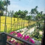 180880838 4135352246527695 8802137788542534259 n Paddy Field View Two Bedrooms House For Rent In Cam Chau Hoi An