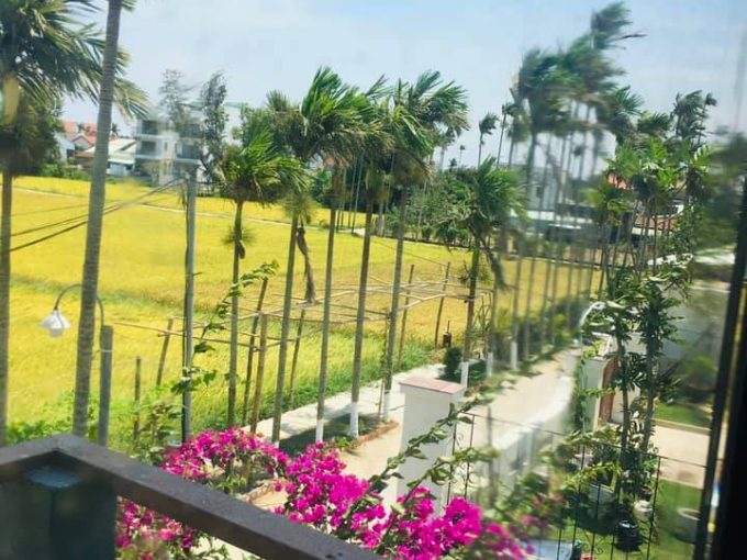 180880838 4135352246527695 8802137788542534259 n Paddy Field View Two Bedrooms House For Rent In Cam Chau Hoi An