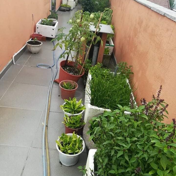 House For For rent Tan An Hoi AN_HA3H051_7