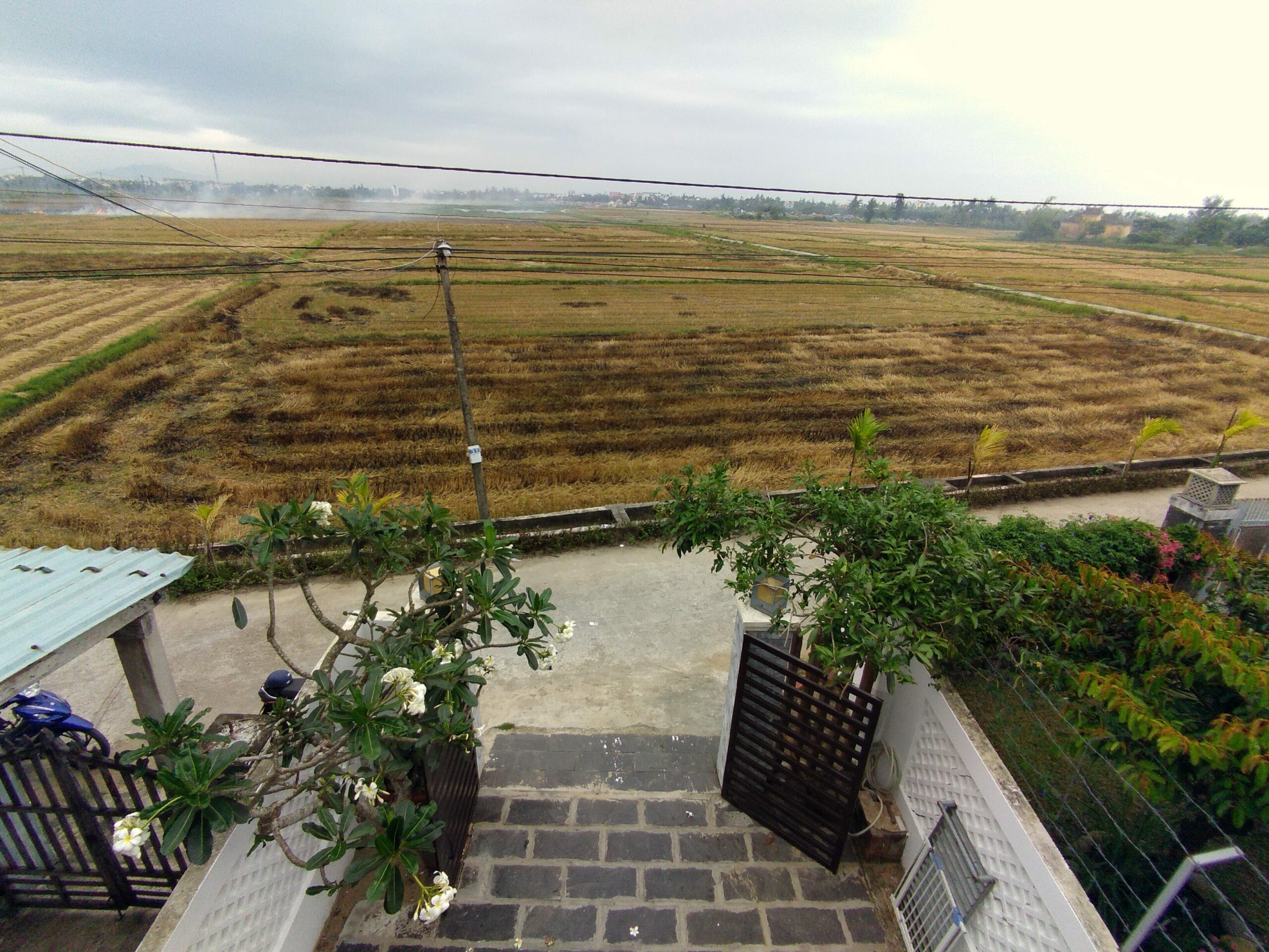 Beautiful Paddy Field View Three Bedrooms House For Rent Cam Thanh Hoi An