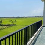 apartment For rent Cam Thanh Hoi AN 1HABR029 7 Stunning Paddy Field View One Bedroom Apartment For Rent Cam Thanh Hoi An