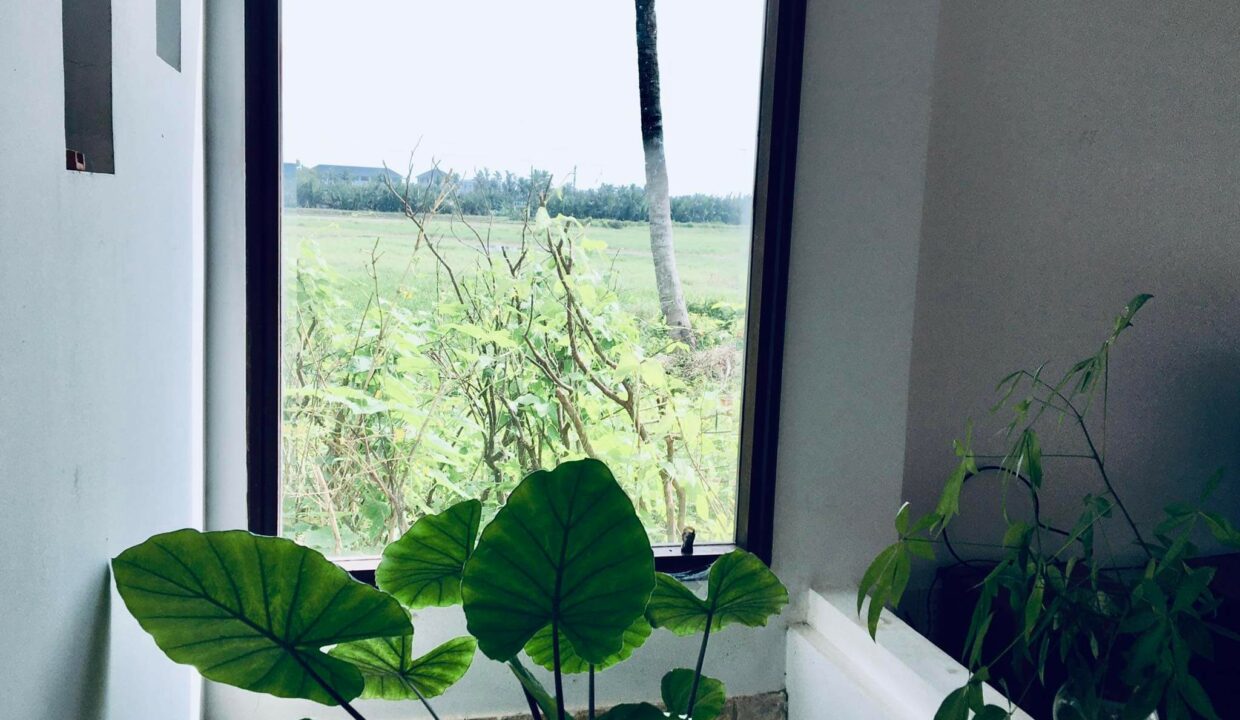House for rent hoi an mvpvietnam