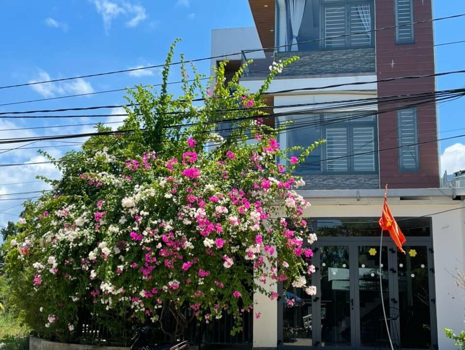 House for rent hoi an mvpvietnam