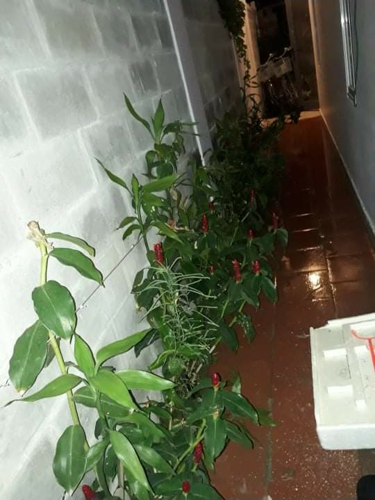 House for rent hoi an mvpvietnam