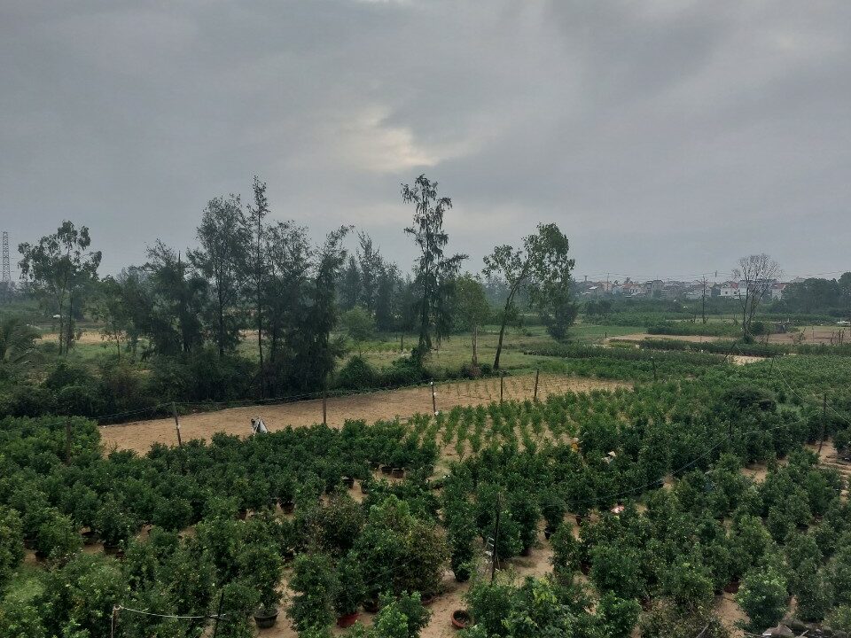 villa for rent hoi an mvpvietnam