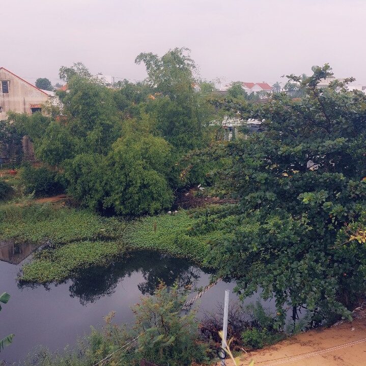 villa for rent hoi an mvpvietnam