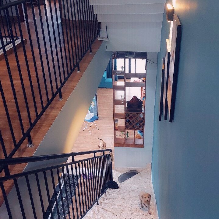 villa for rent hoi an mvpvietnam