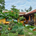 House For Rent Cam ha Hoi An