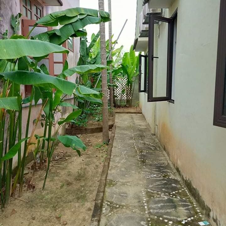 House for rent hoi an mvpvietnam