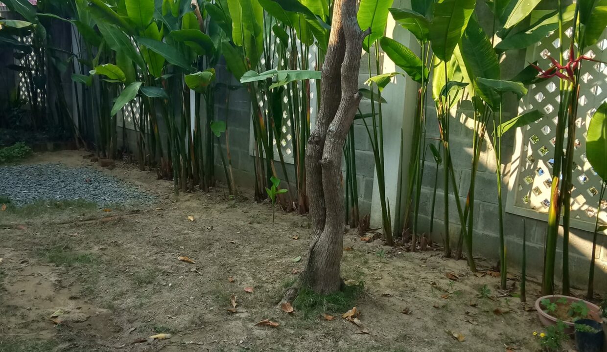 House For rent Cam Thanh hoi an_HA2H083_30