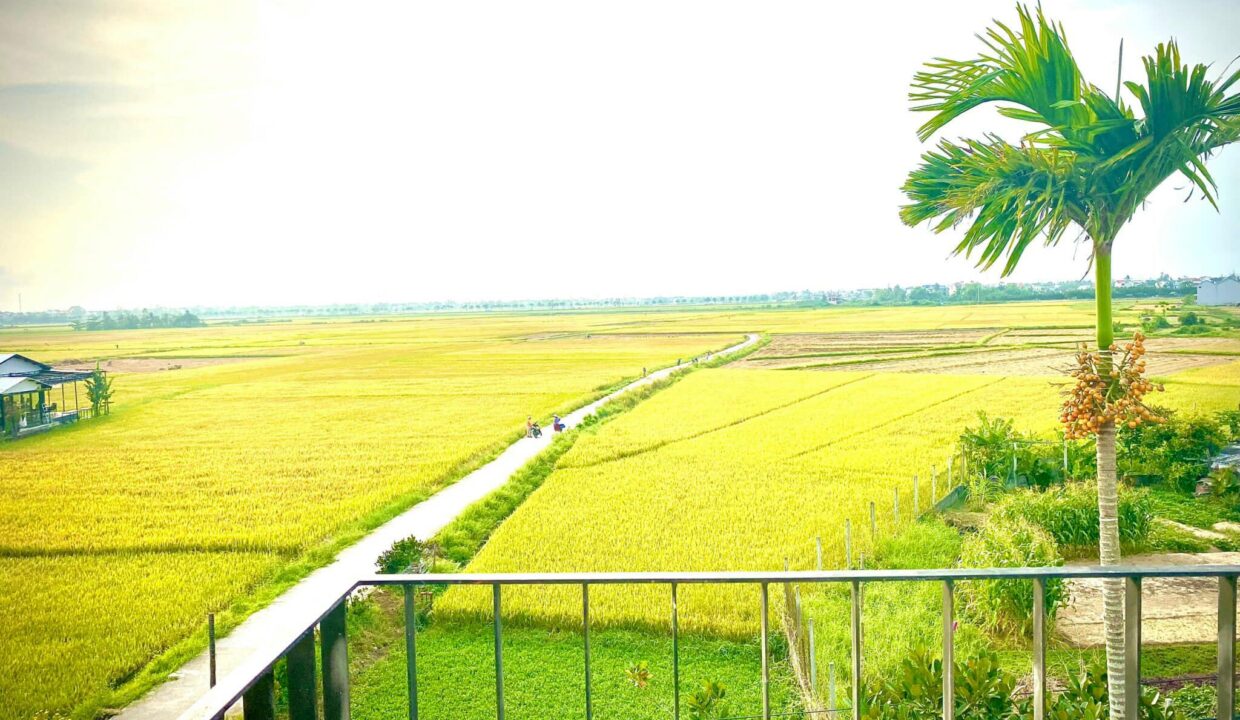 House for rent hoi an mvpvietnam