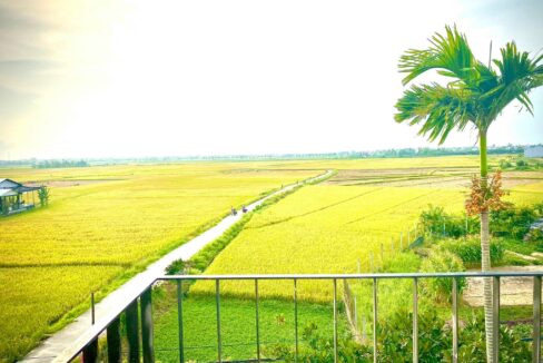House for rent Cam chau hoi an HA3H071 13 Yellow Paddyfield Three Bedrooms House For Rent Cam Chau Hoi An