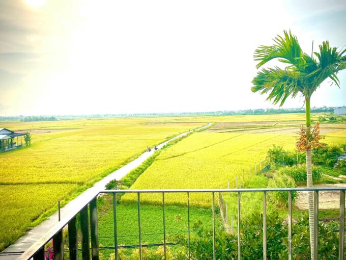 House for rent Cam chau hoi an HA3H071 13 Yellow Paddyfield Three Bedrooms House For Rent Cam Chau Hoi An