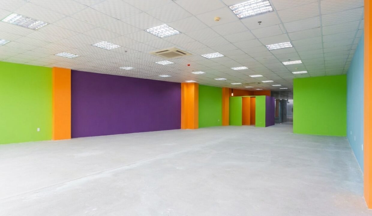 Thu-dung-plaza-large-office-space-in-thanh-khe-5