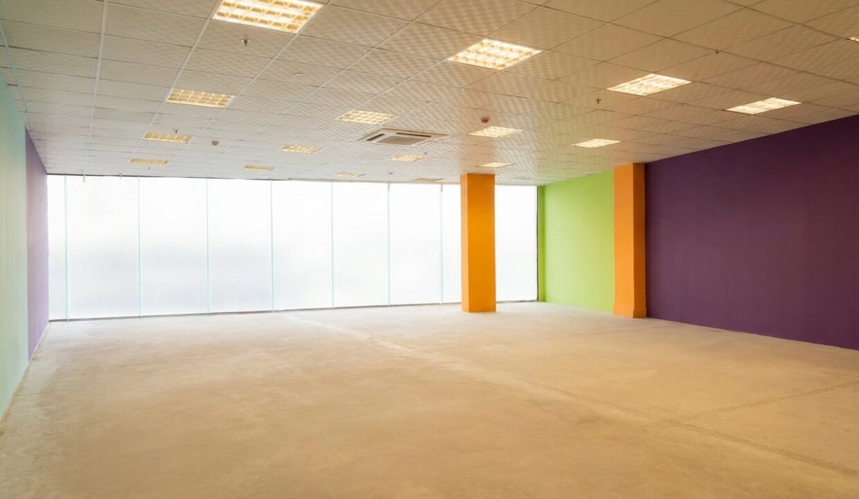 Thu-dung-plaza-large-office-space-in-thanh-khe-4